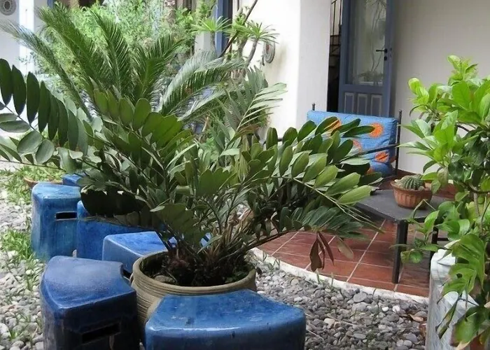 Boutique Casajanca Szálloda Canneto