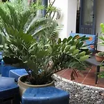 Boutique Casajanca Hotel Canneto (Lipari)
