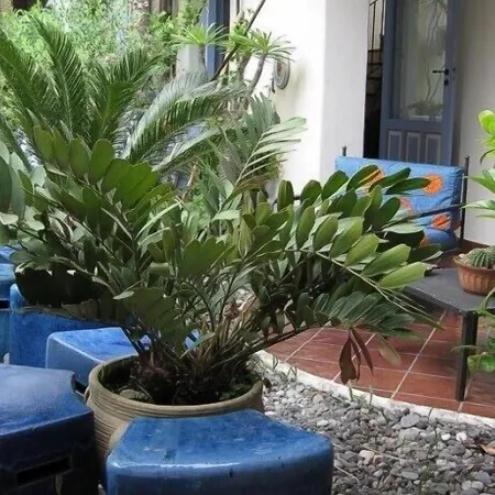 Boutique Casajanca Hotell Canneto (Lipari)